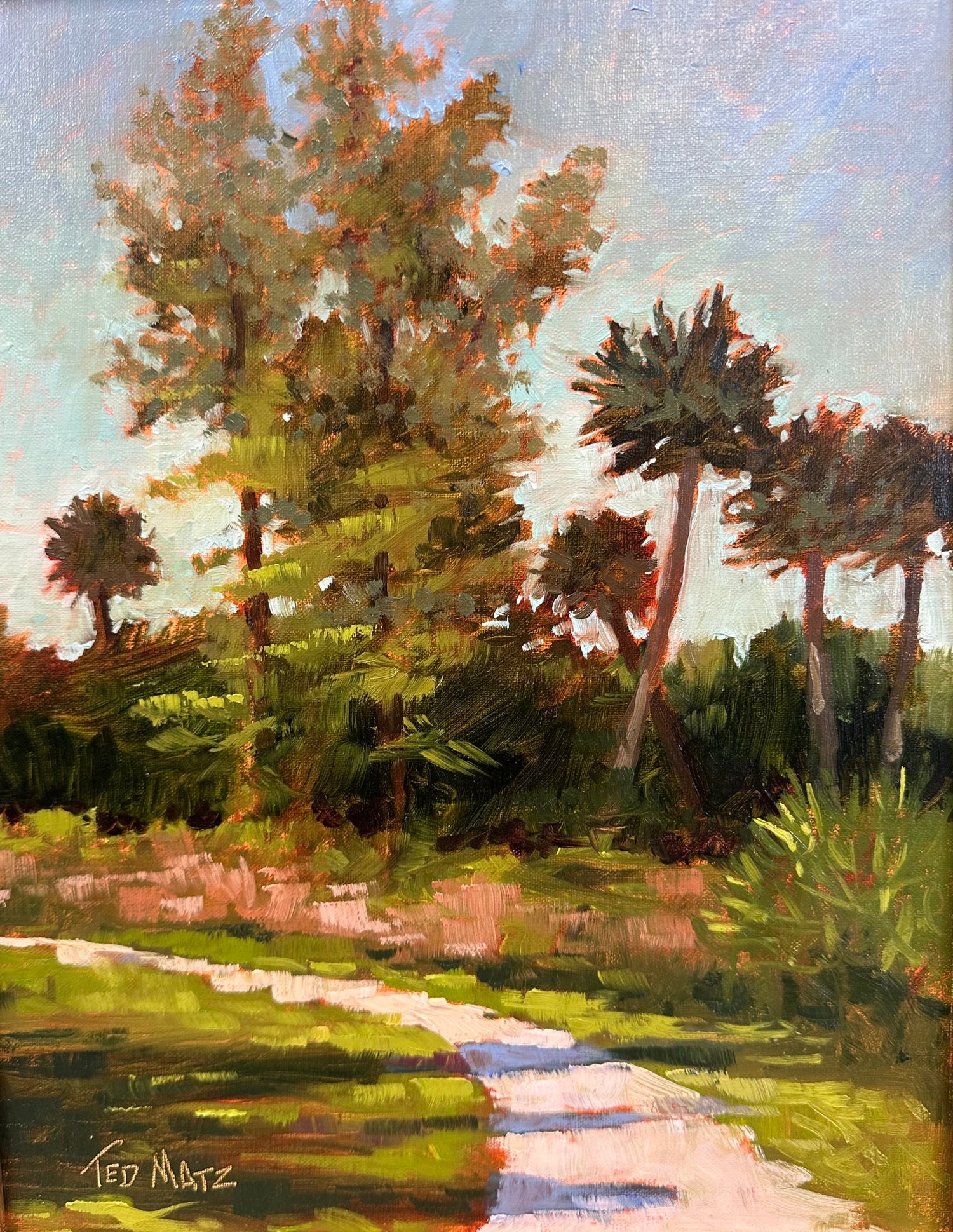 Oils