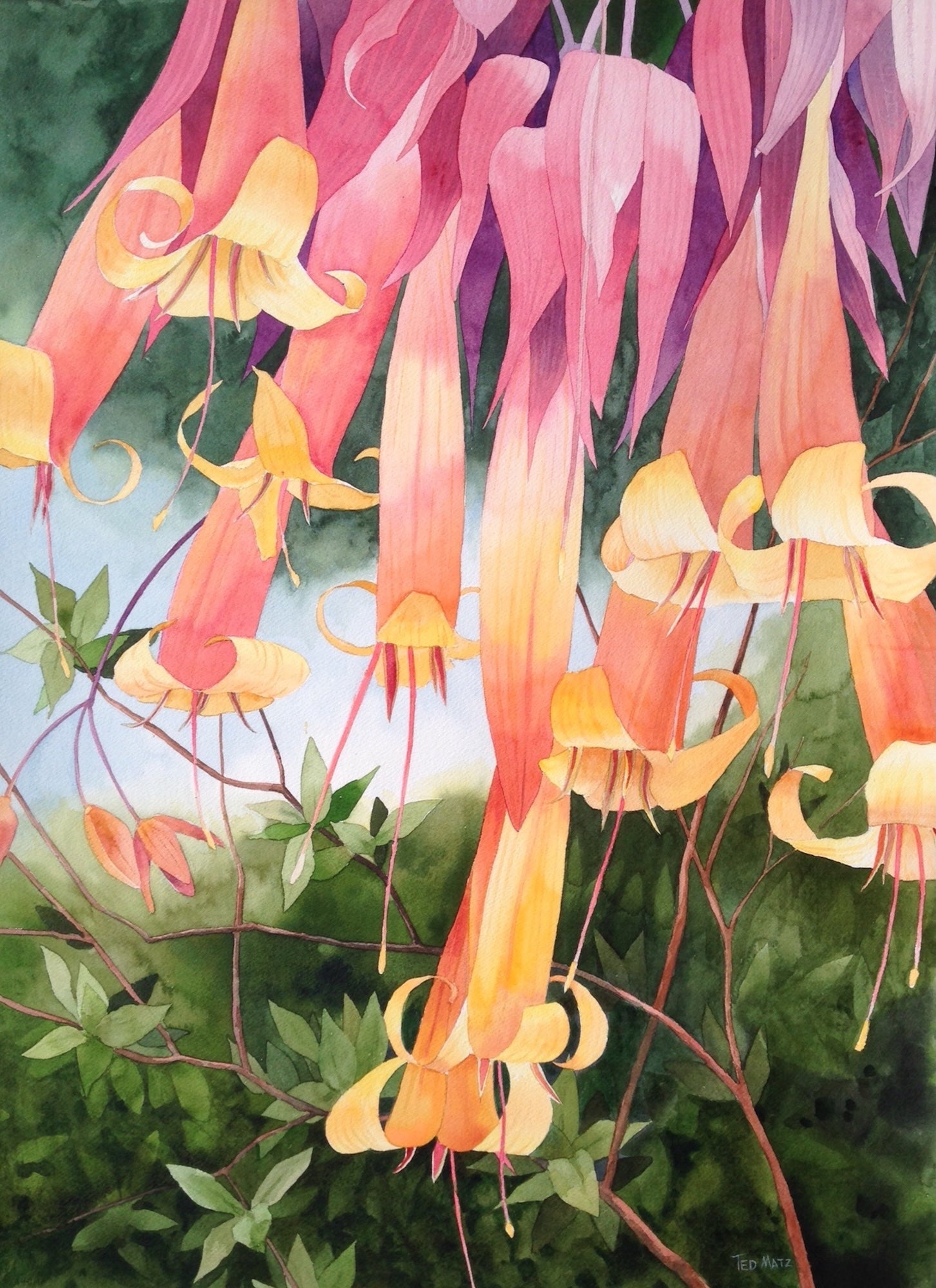Colorful hanging pink flowers with a green tropical background