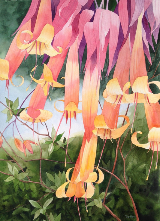 Colorful hanging pink flowers with a green tropical background