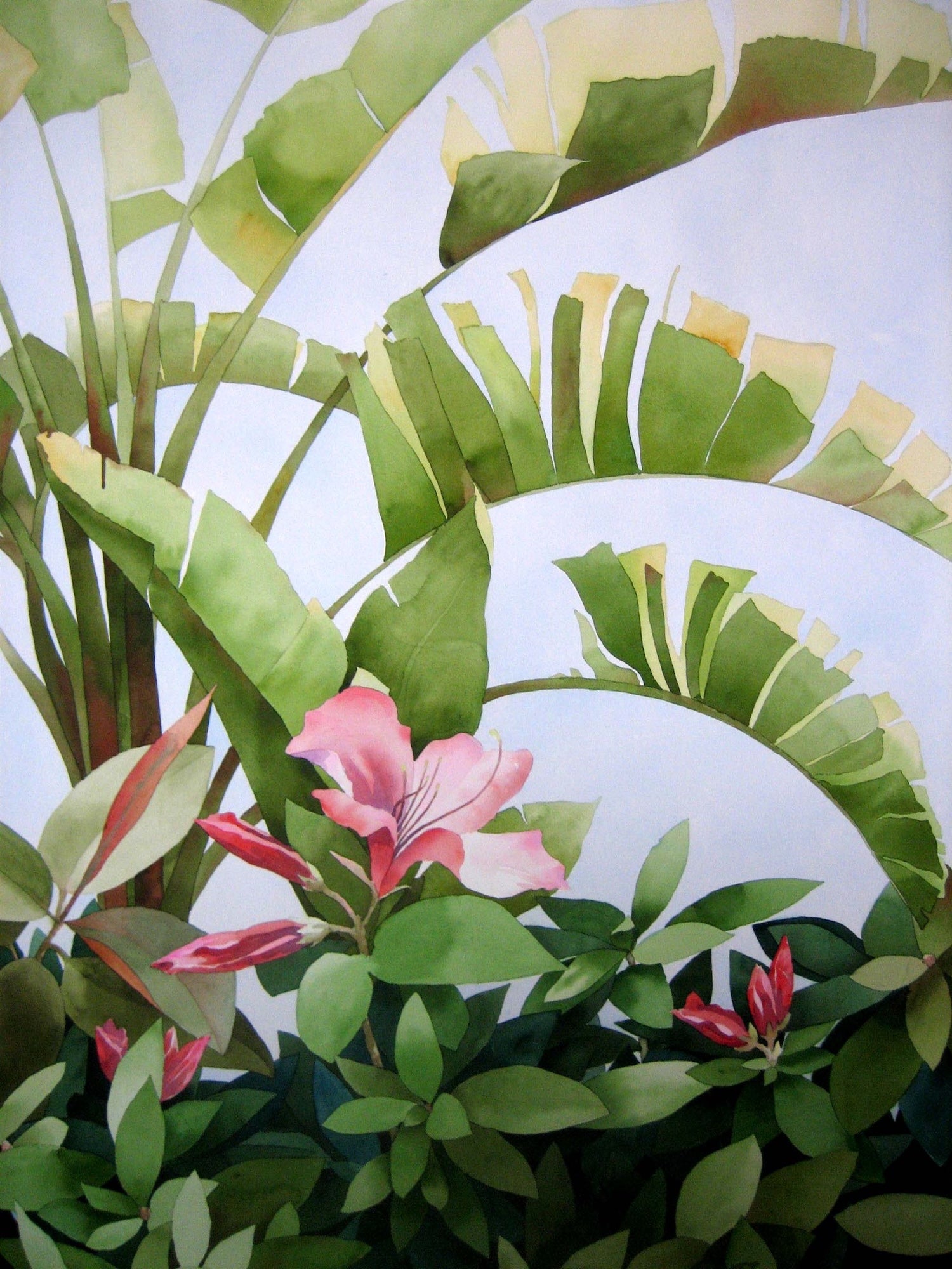 Hibiscus flowers in foreground with green tropical leaves in background