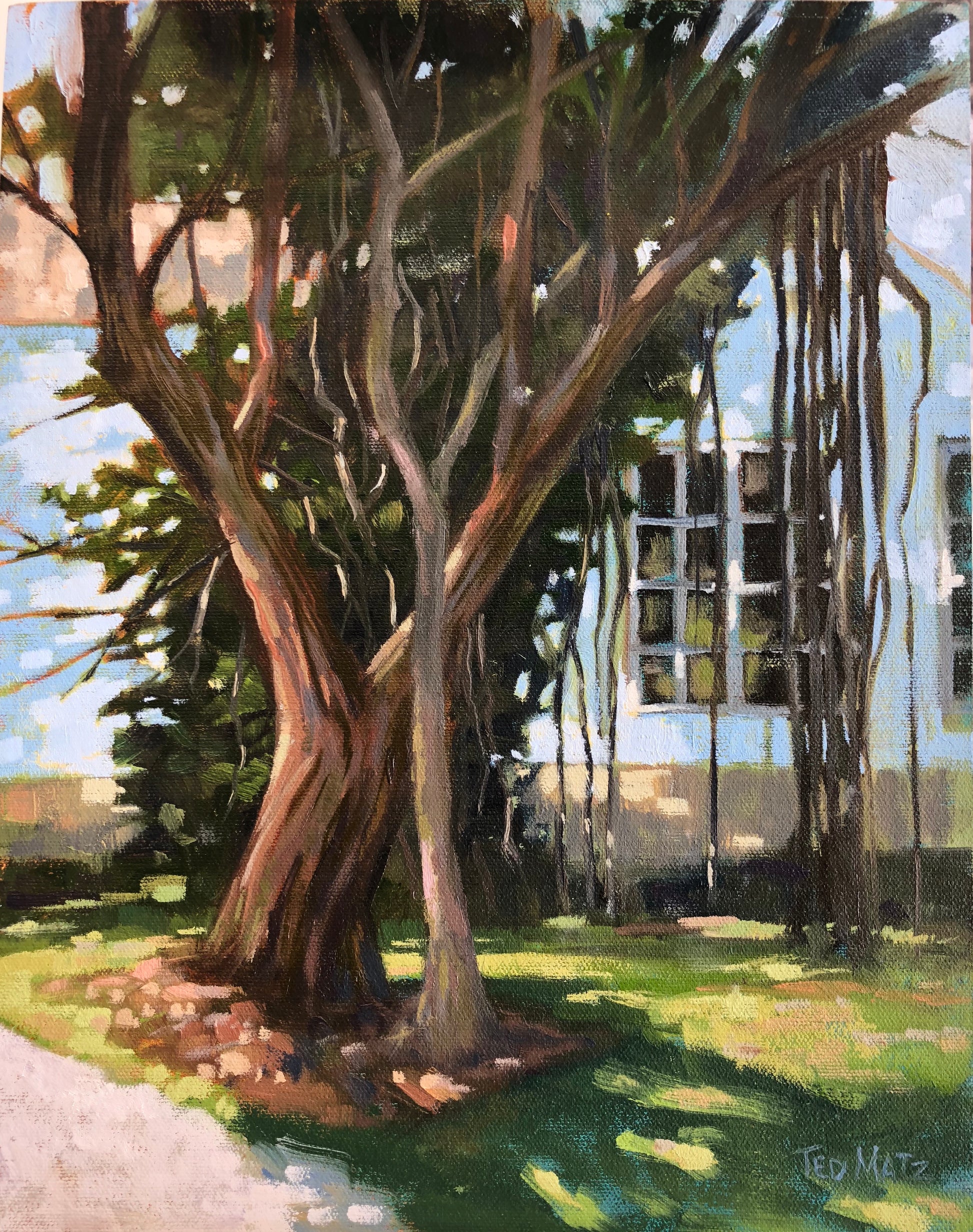 Painting of a large banyan tree with a building in the background